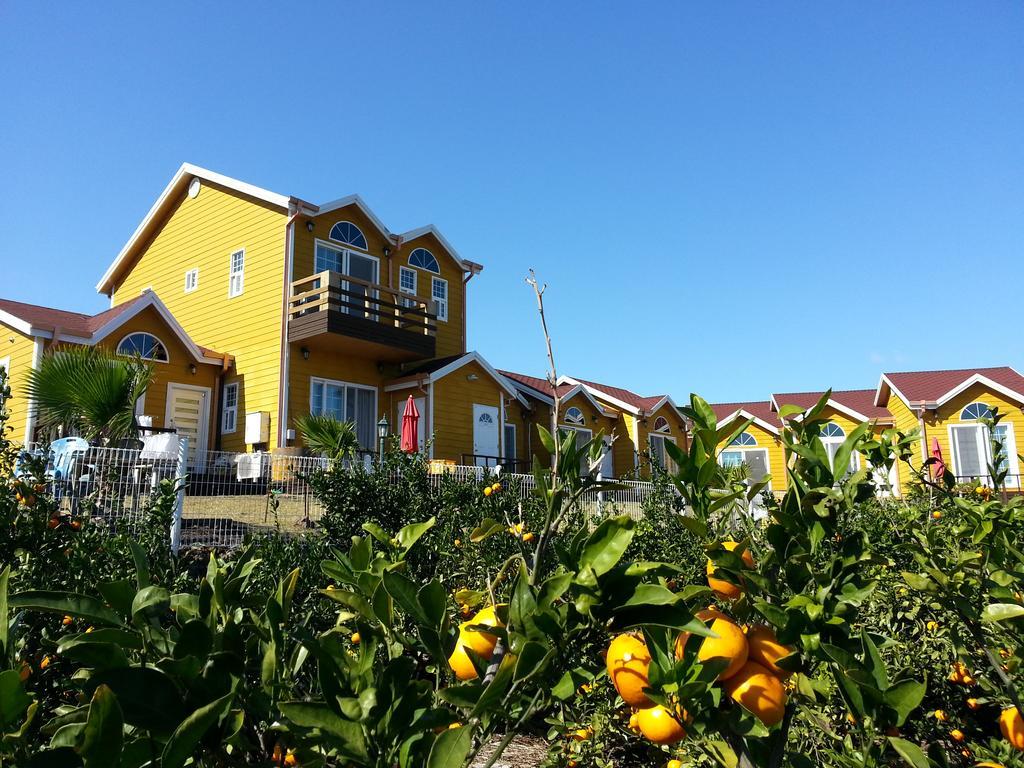 Vila Healing House Sogüpcho Exteriér fotografie